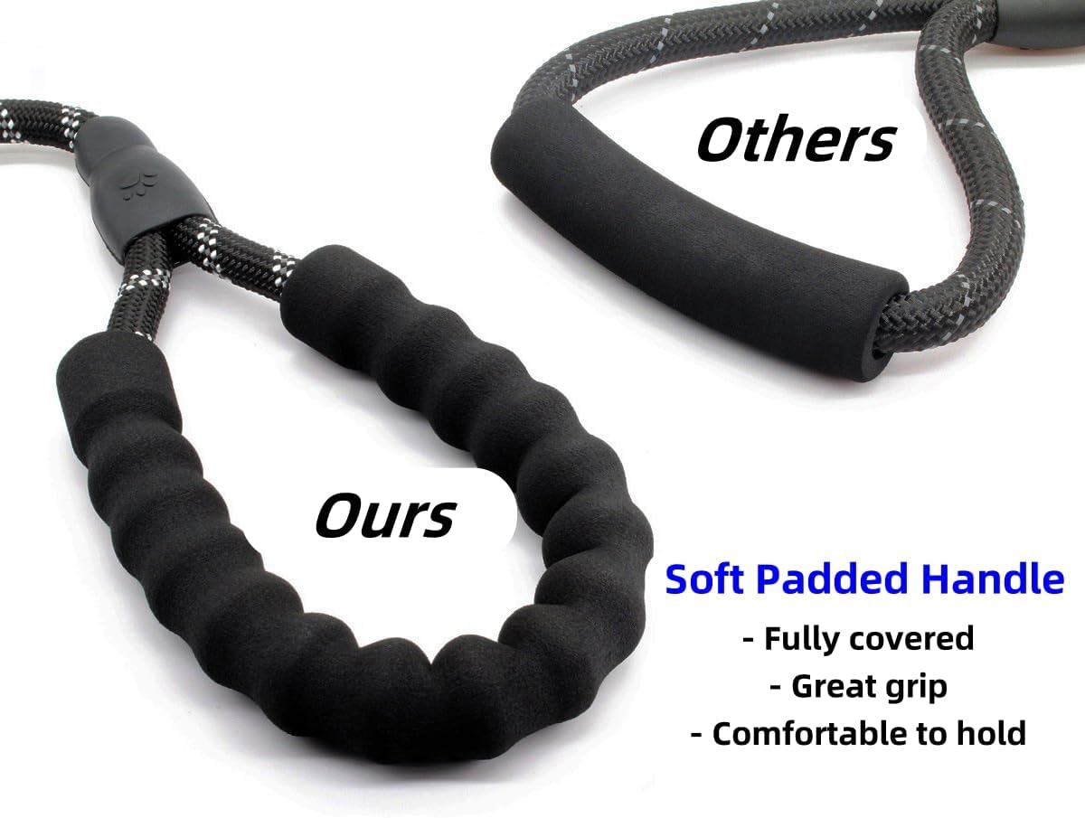 5FT Strong Nylon Dog Leash with Comfortable Padded Handle and Highly Reflective Threads for Medium and Large Dogs