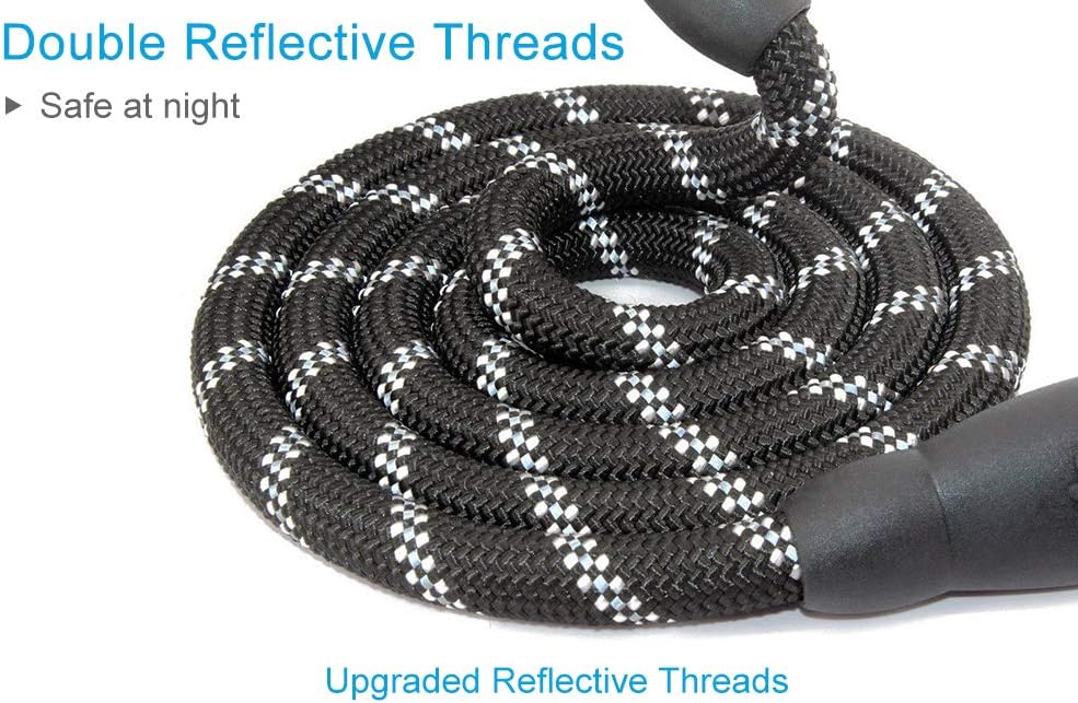 5FT Strong Nylon Dog Leash with Comfortable Padded Handle and Highly Reflective Threads for Medium and Large Dogs