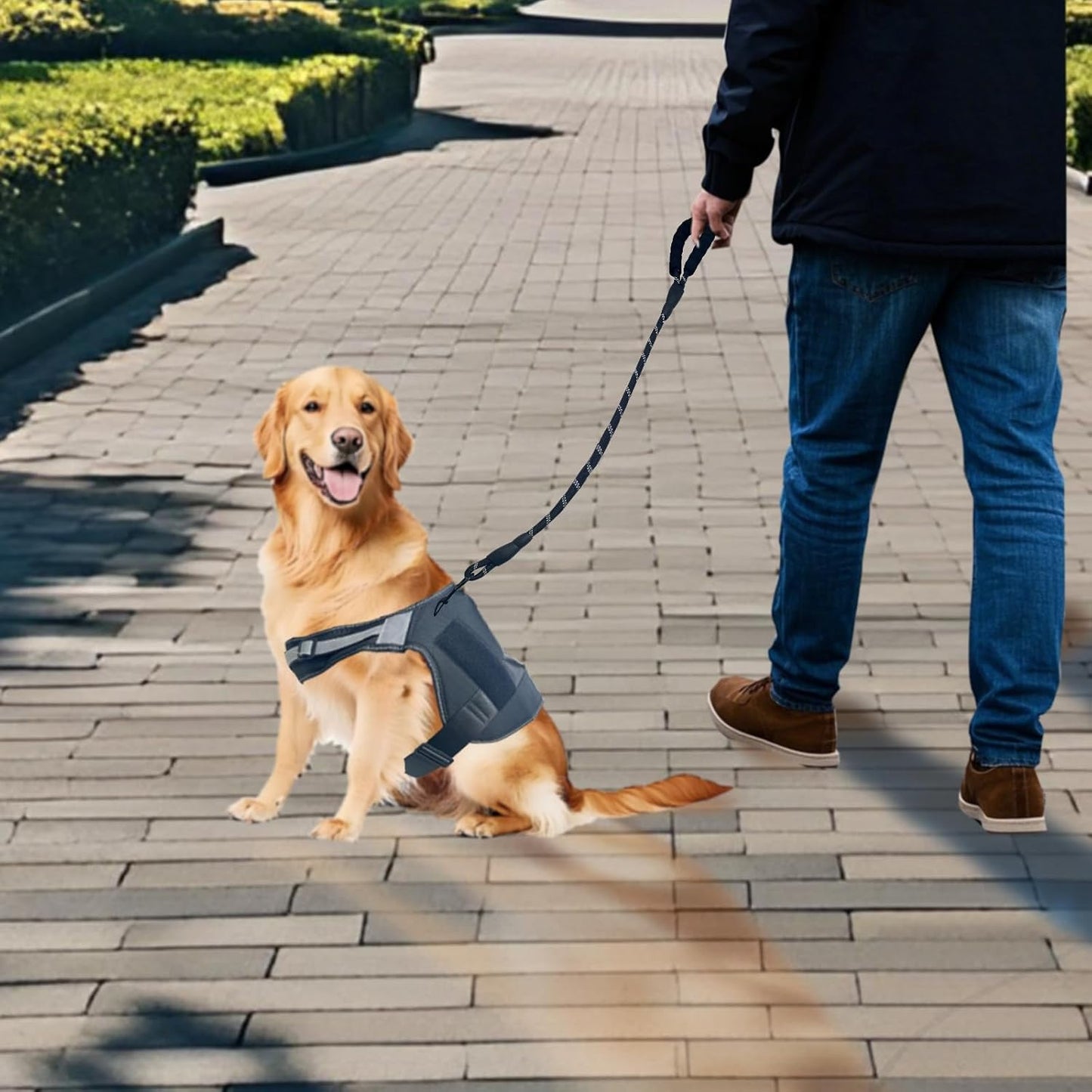 5FT Strong Nylon Dog Leash with Comfortable Padded Handle and Highly Reflective Threads for Medium and Large Dogs