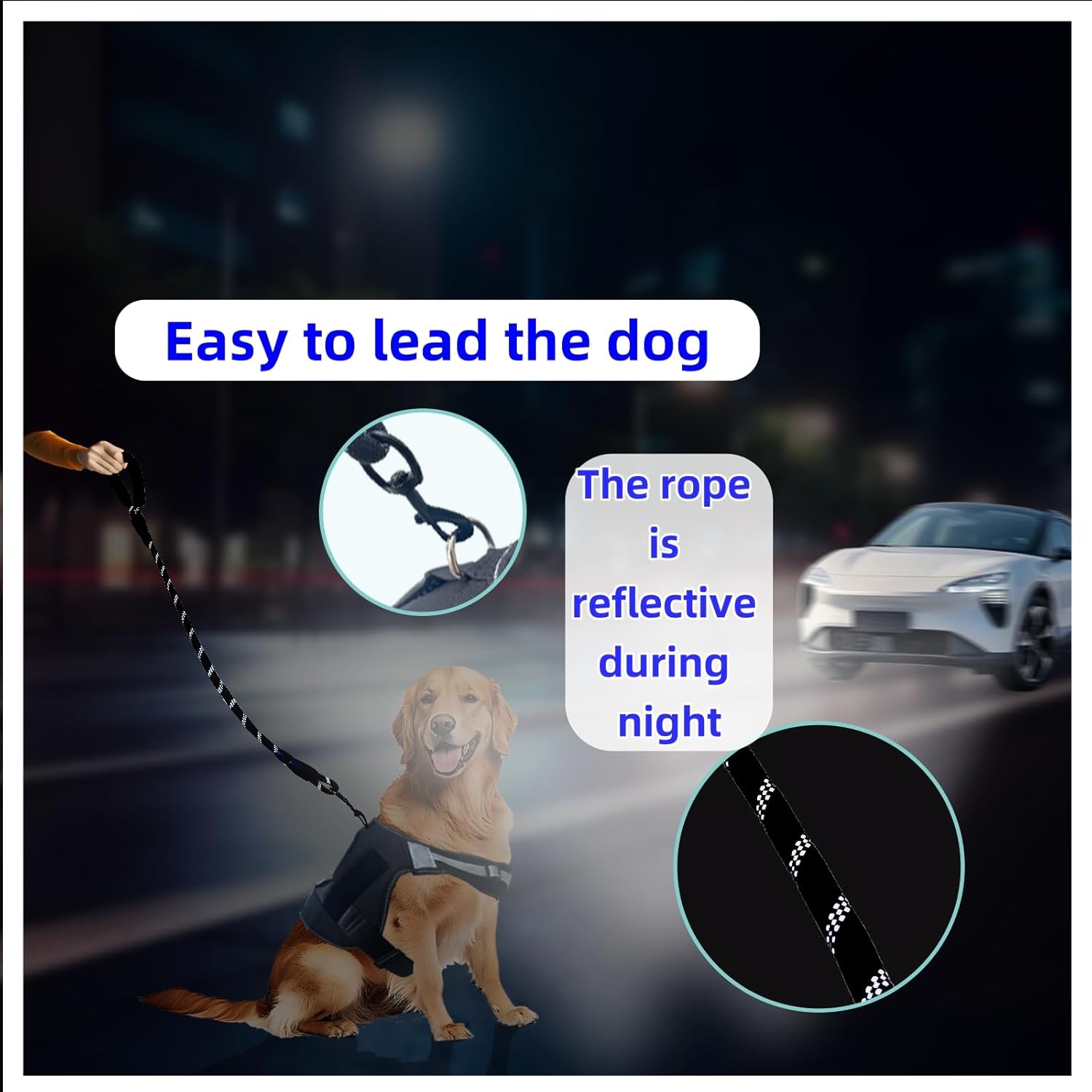5FT Strong Nylon Dog Leash with Comfortable Padded Handle and Highly Reflective Threads for Medium and Large Dogs