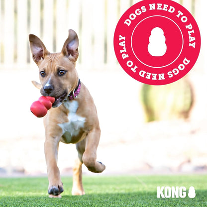 - Puppy Toy - Natural Teething Rubber - Fun to Chew, Chase and Fetch (Colour May Vary) - for Small Puppies